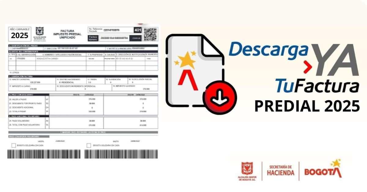 Imagen del artículo